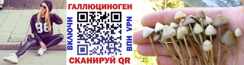 Псилоцибиновые грибы MAGIC MUSHROOMS Рассказово