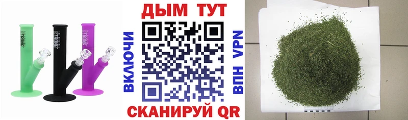 Каннабис индика  Рассказово 
